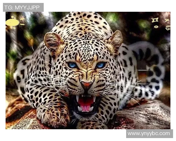 厄勒布与埃尔夫的精彩对决揭示足球战术与团队合作的魅力 厄勒布与埃尔夫的精彩对决揭示足球战术与团队合作的魅力