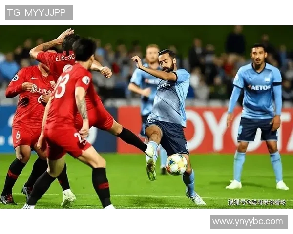 惠灵顿凤凰迎战纽卡斯托期待激烈对决与精彩瞬间 惠灵顿凤凰迎战纽卡斯托期待激烈对决与精彩瞬间