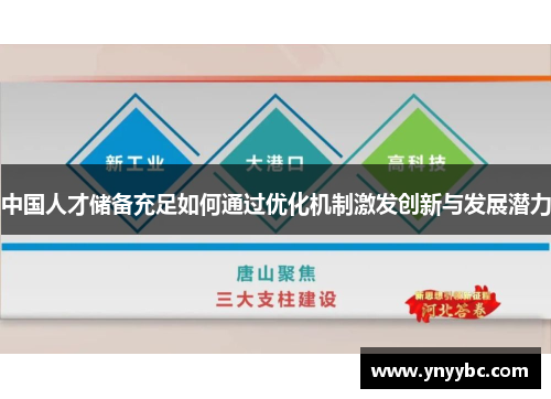 中国人才储备充足如何通过优化机制激发创新与发展潜力