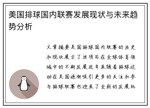 美国排球国内联赛发展现状与未来趋势分析