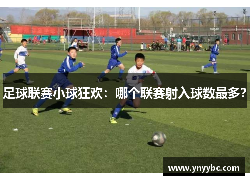 足球联赛小球狂欢：哪个联赛射入球数最多？
