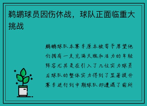 鹈鹕球员因伤休战，球队正面临重大挑战